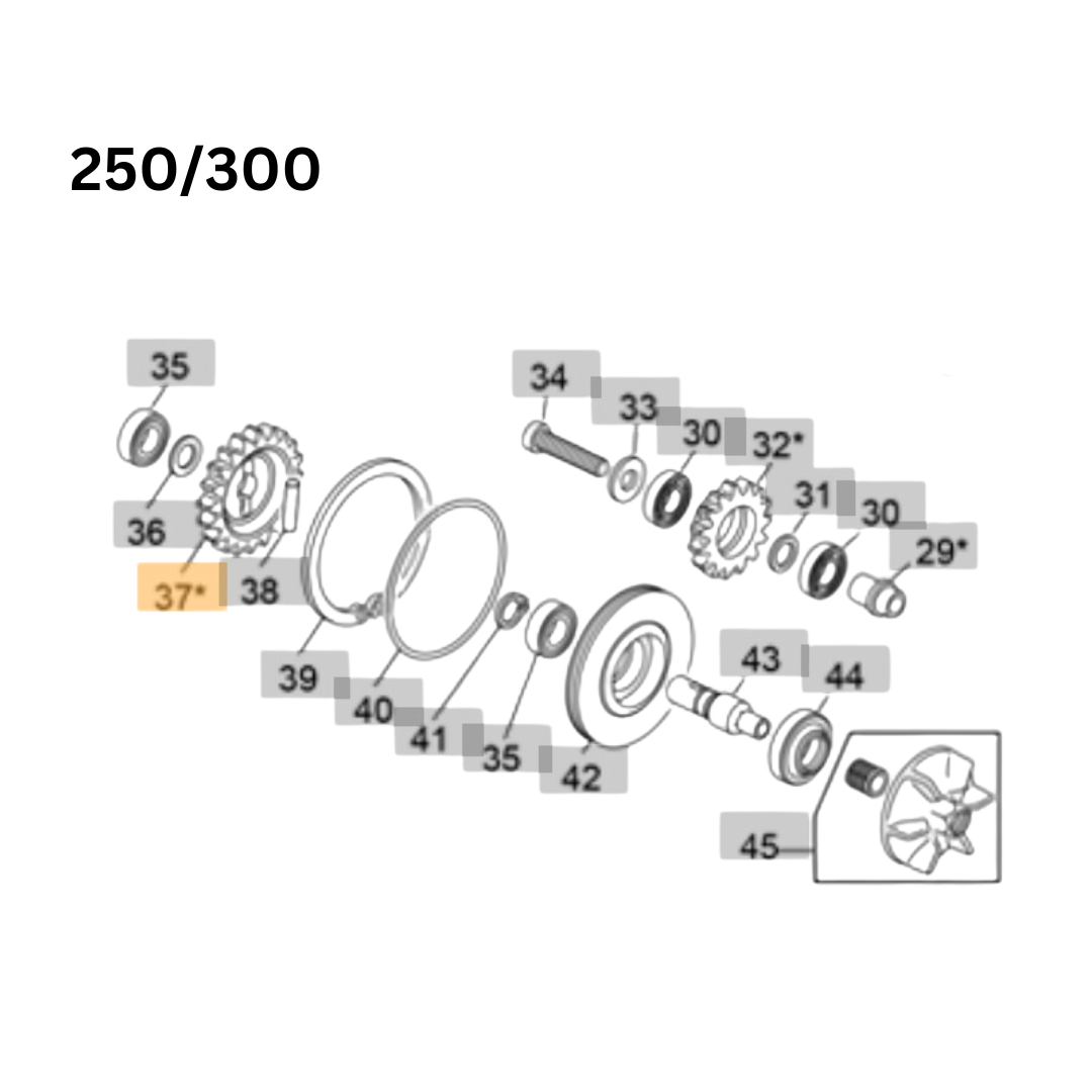 Sherco Nylon Waterpump Pinion 250/300 (2023-2025)