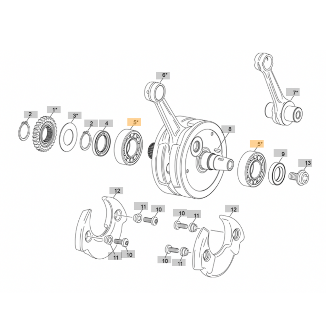 Sherco Crankshaft Bearing (2023-2025)