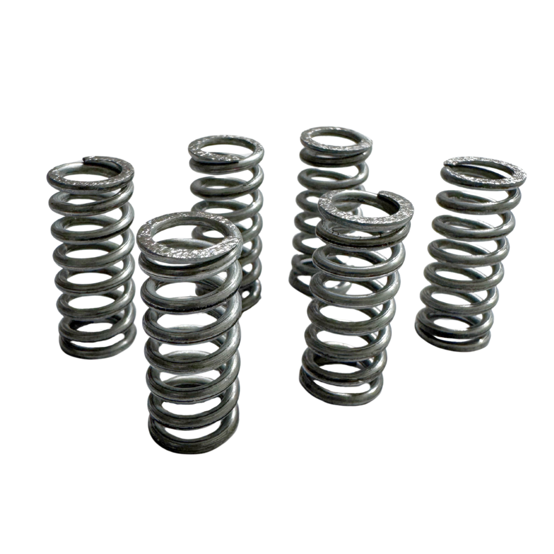 Fantic 125/200 Clutch Spring Set