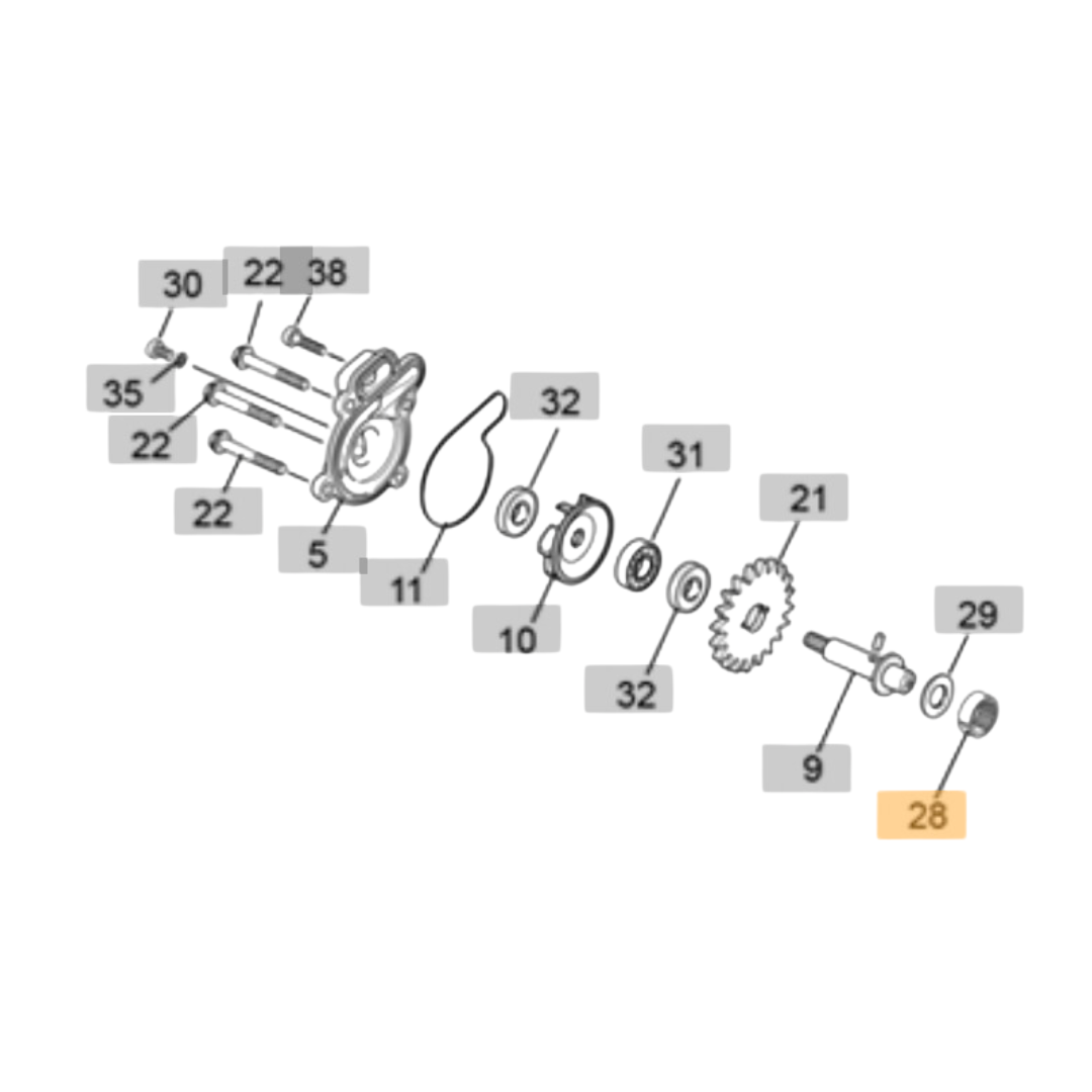 Sherco Waterpump Needle Bearing (1999-2022)