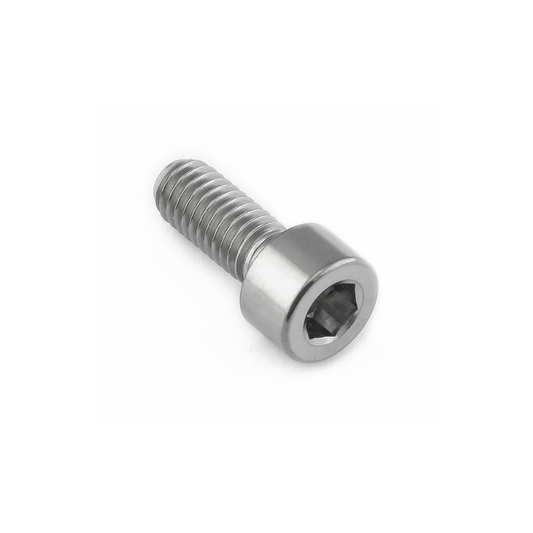 Pro-Bolt M6 Titanium Parallel Socket Cap Bolt DIN912