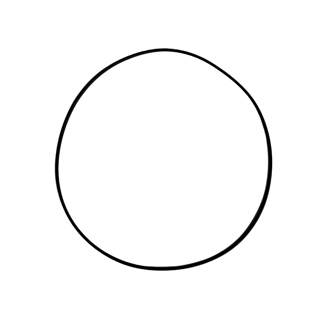 Sherco Flywheel Cover O-Ring (2011-2022)