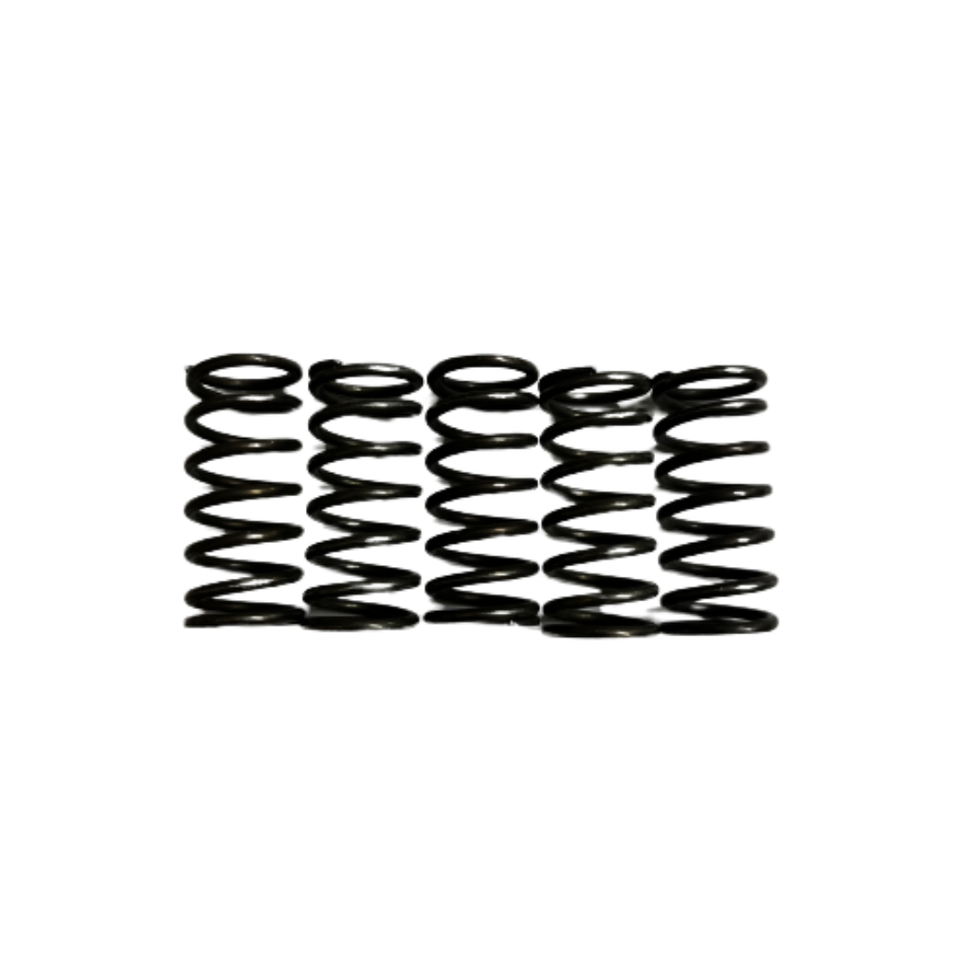 Fantic Clutch Spring Set