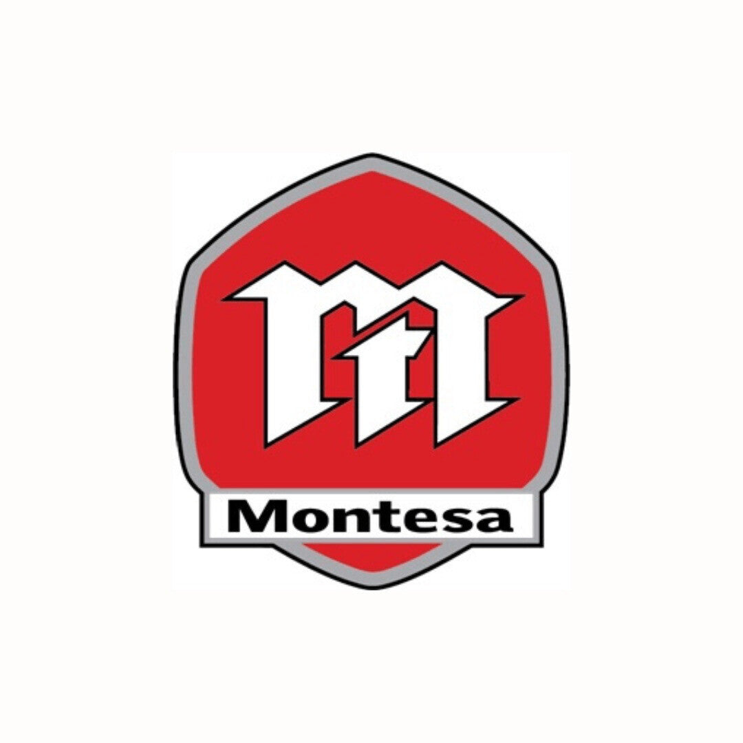 Montesa Flanged Hex Bolt Disc M6x18mm