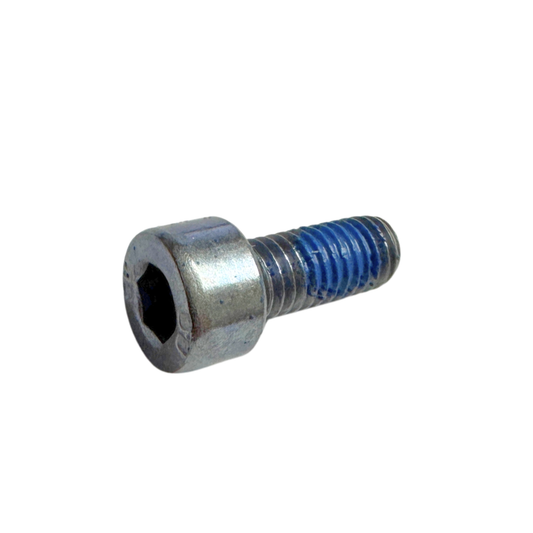 Sherco M5 x 12 Socket Cap Bolt