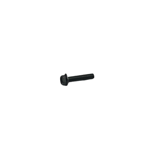 Sherco M5 x 25 Bolt (2023-2025)