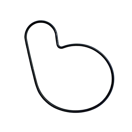 Beta Evo/Rev Waterpump O-Ring (2000-2025)