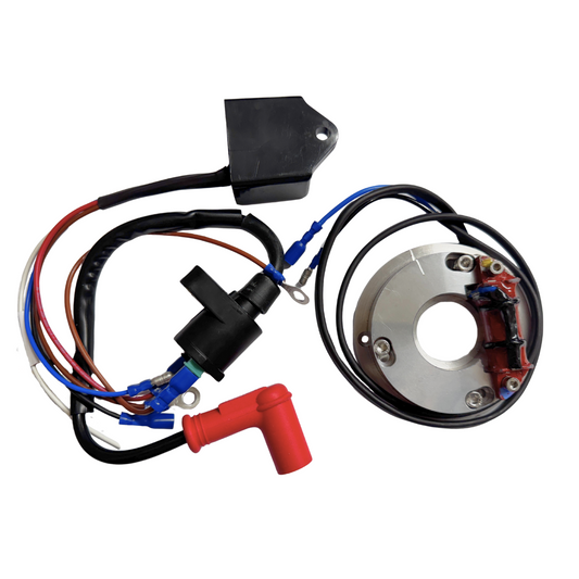 Fantic 200 Electronic Ignition System