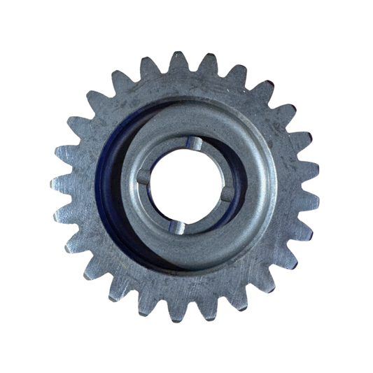 Fantic Section Kickstart Gear 25T