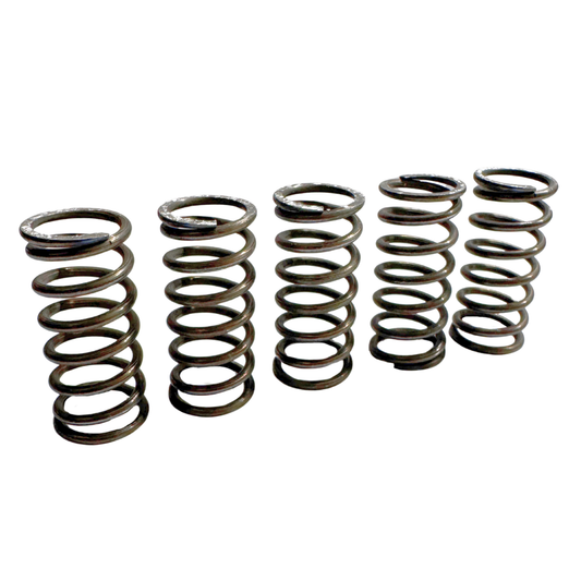 Fantic Clutch Spring Set