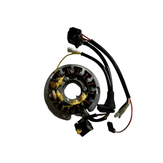 Sherco Hidria Digital Stator (2020-2022)