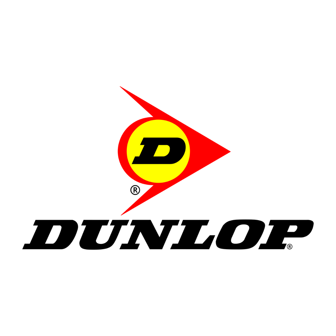 Dunlop TY175 Wheel Bearing